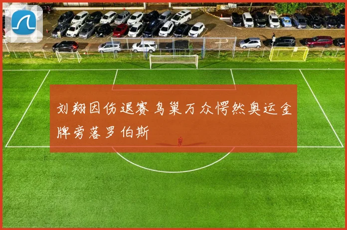 刘翔因伤退赛鸟巢万众愕然奥运金牌旁落罗伯斯