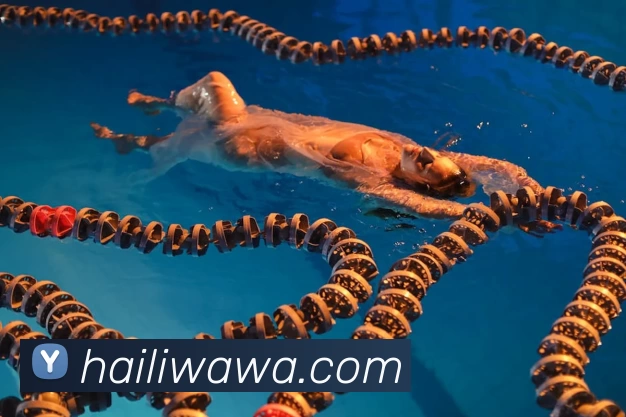 emc易倍·(中国)体育官方网站平台生态图